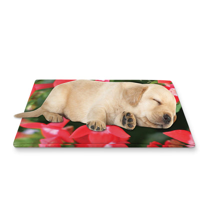 Red Bouvardia Print Pet Cooling Mat Cover