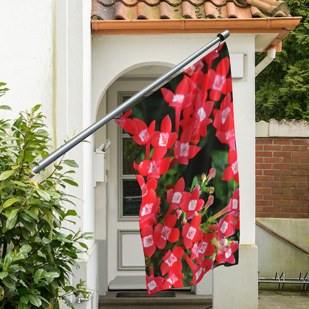 Red Bouvardia Print Polyester Flag