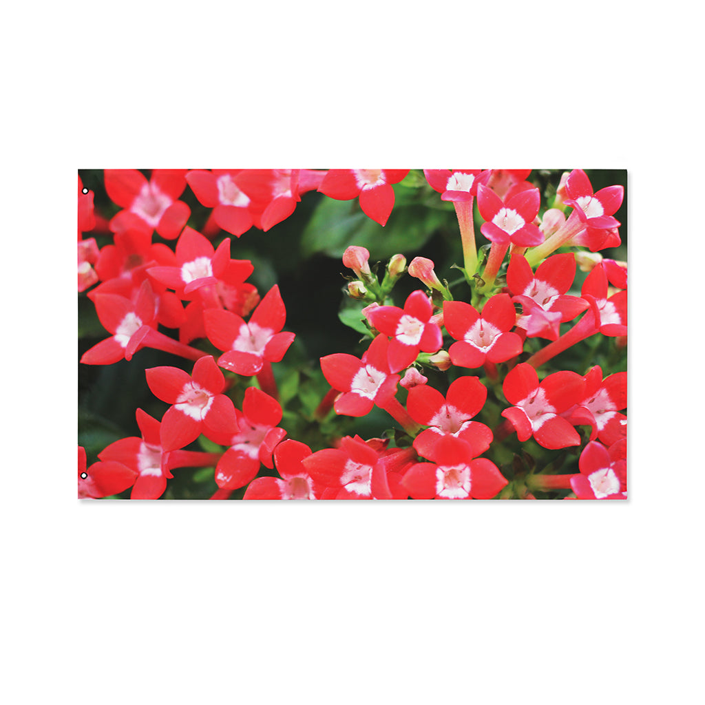 Red Bouvardia Print Polyester Flag
