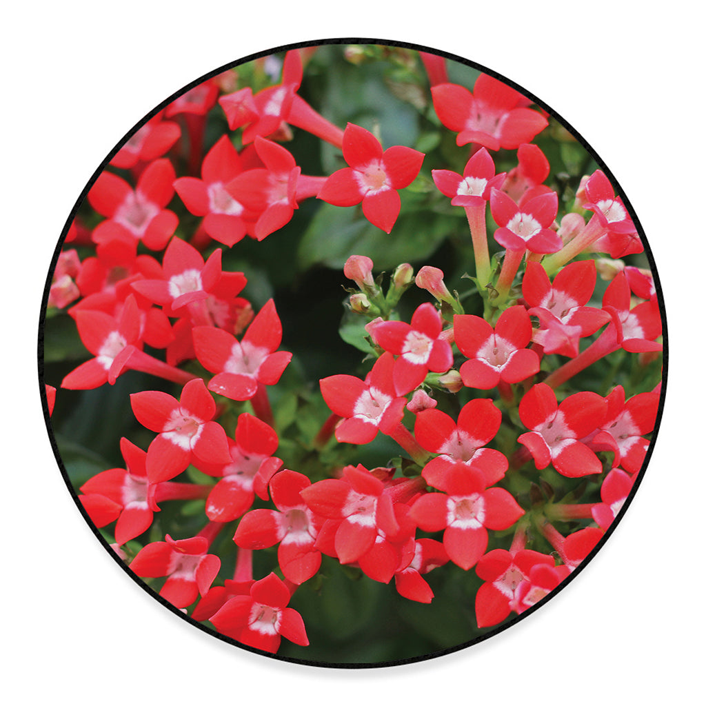 Red Bouvardia Print Round Floor Mat