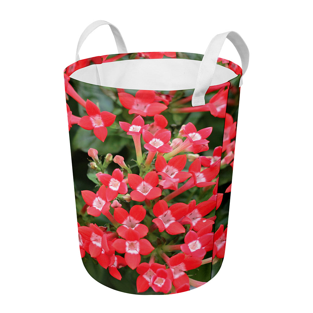 Red Bouvardia Print Round Laundry Basket