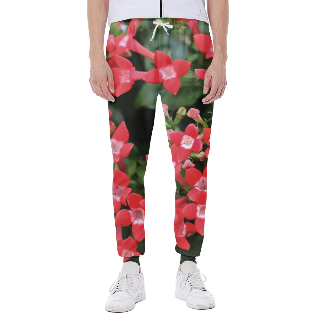 Red Bouvardia Print Scuba Joggers