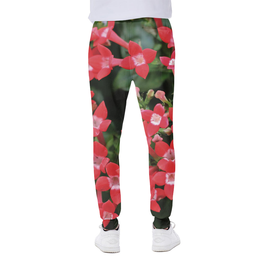 Red Bouvardia Print Scuba Joggers