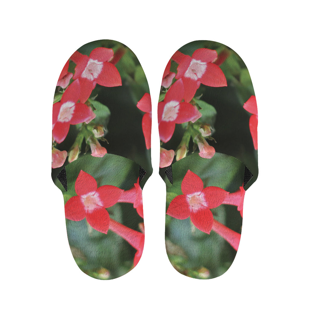 Red Bouvardia Print Slippers