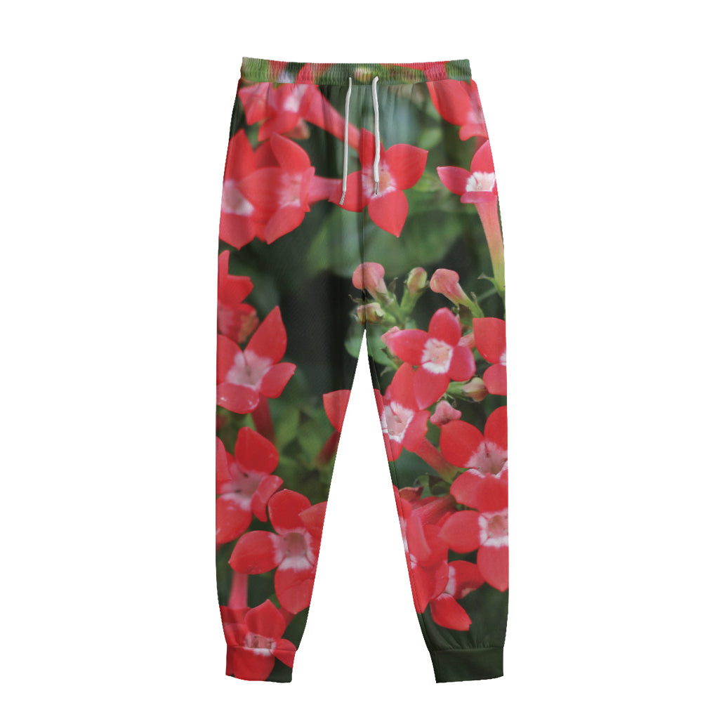 Red Bouvardia Print Sweatpants