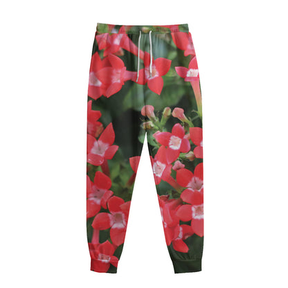 Red Bouvardia Print Sweatpants