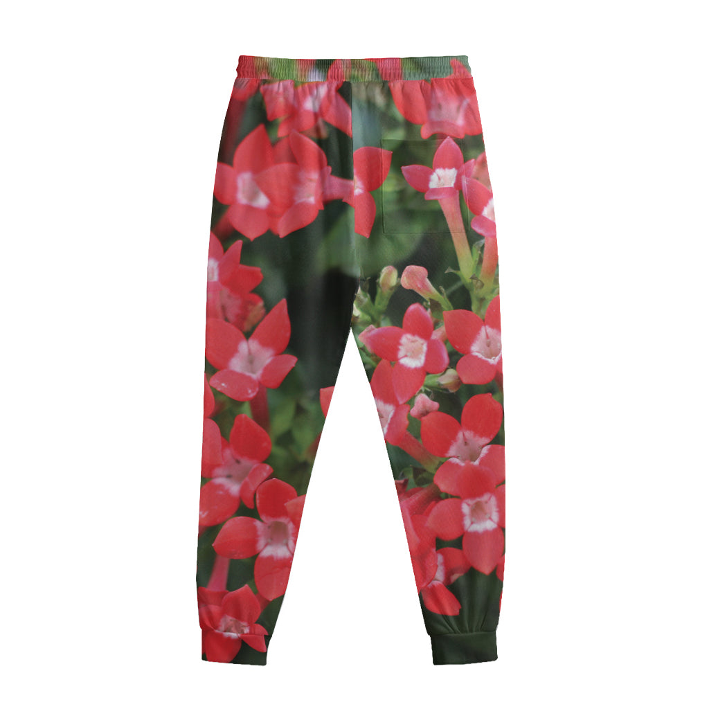 Red Bouvardia Print Sweatpants