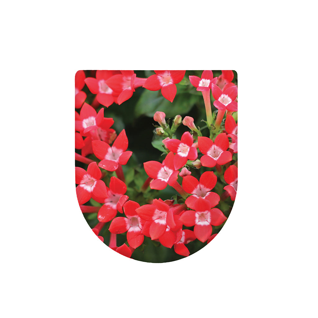 Red Bouvardia Print Toilet Lid Cover