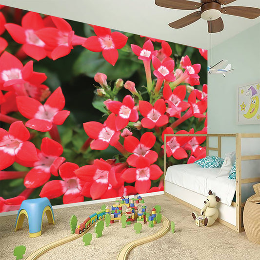 Red Bouvardia Print Wall Sticker