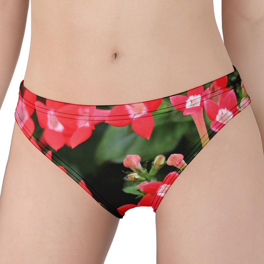 Red Bouvardia Print Women's Panties