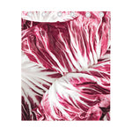 Red Cabbage Leaves Print Curtain