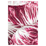 Red Cabbage Leaves Print Curtain