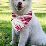 Red Cabbage Leaves Print Over The Collar Dog Bandana