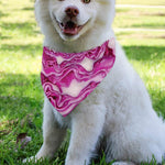 Red Cabbage Print Over The Collar Dog Bandana