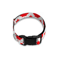 Red Canadian Maple Leaf Pattern Print Dog Collar
