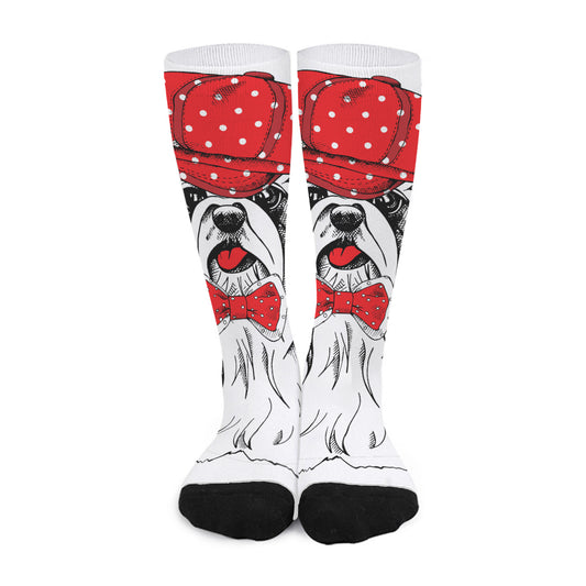 Red Cap Yorkshire Terrier Print Long Socks