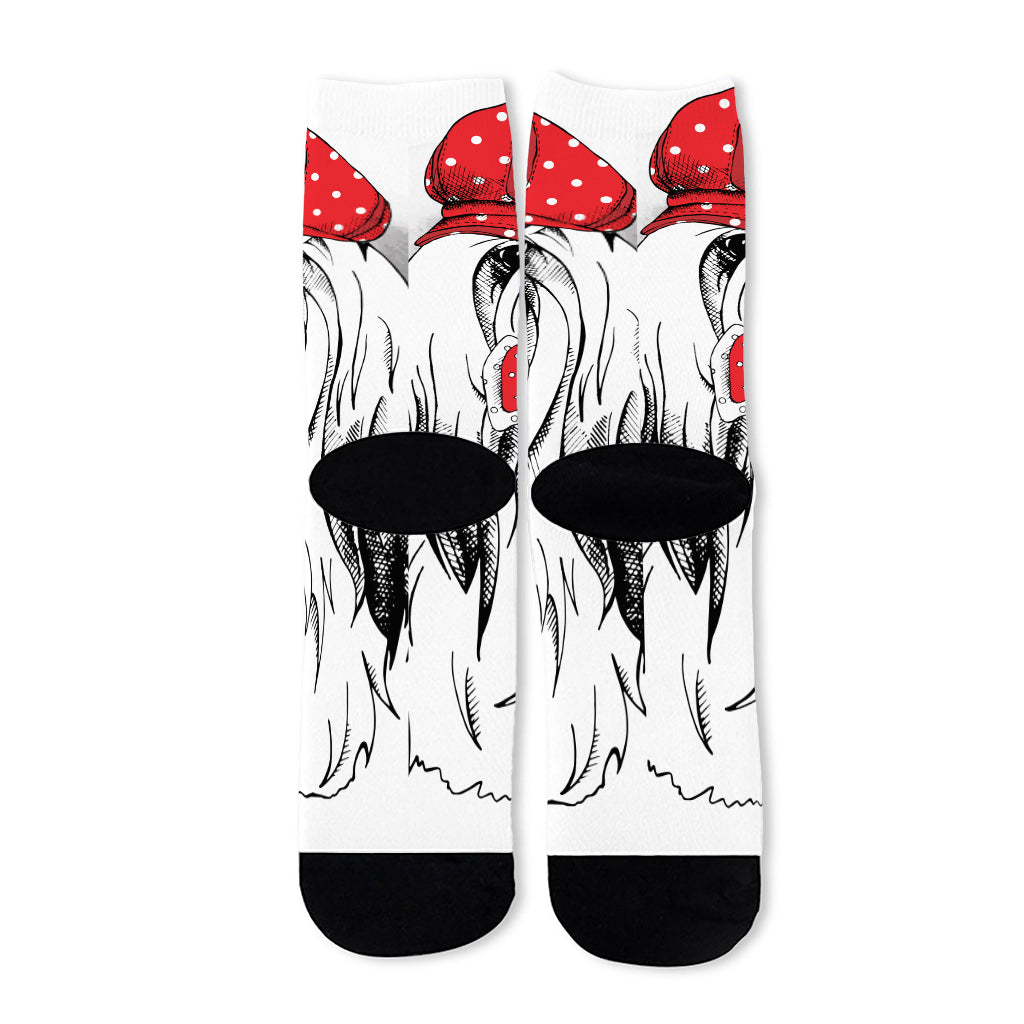 Red Cap Yorkshire Terrier Print Long Socks