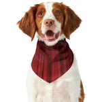 Red Curtain Theater Print Dog Bandana