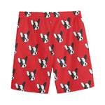 Red French Bulldog Pattern Print Men's Sports Shorts