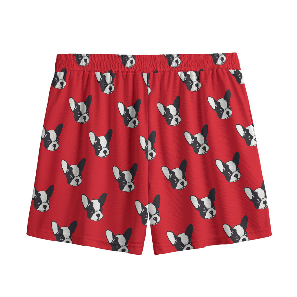 Red French Bulldog Pattern Print Mesh Shorts