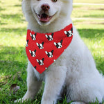 Red French Bulldog Pattern Print Over The Collar Dog Bandana