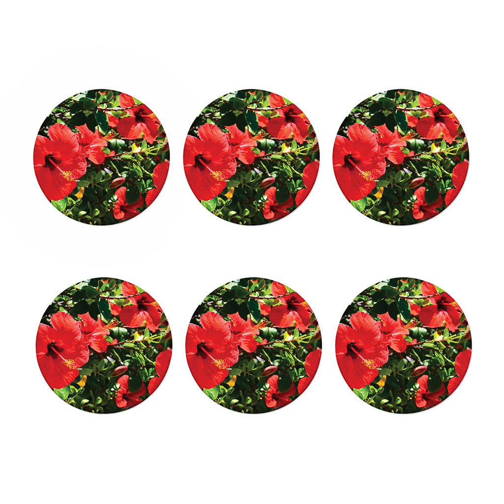 Red Hibiscus Flowers Print Coaster Set