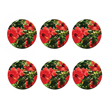 Red Hibiscus Flowers Print Coaster Set