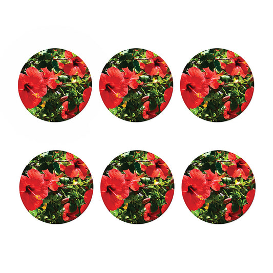 Red Hibiscus Flowers Print Coaster Set