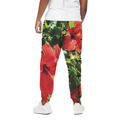 Red Hibiscus Flowers Print Cotton Pants