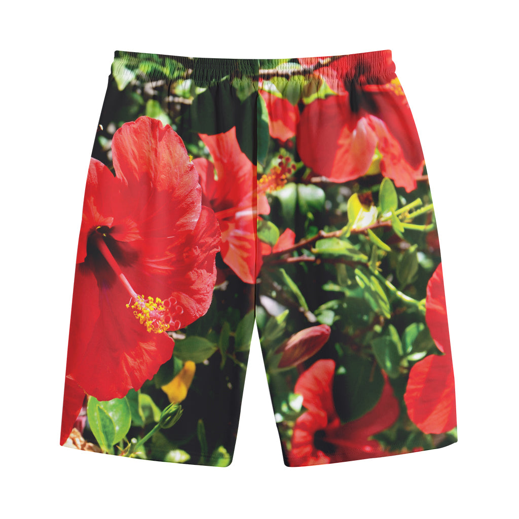 Red Hibiscus Flowers Print Cotton Shorts