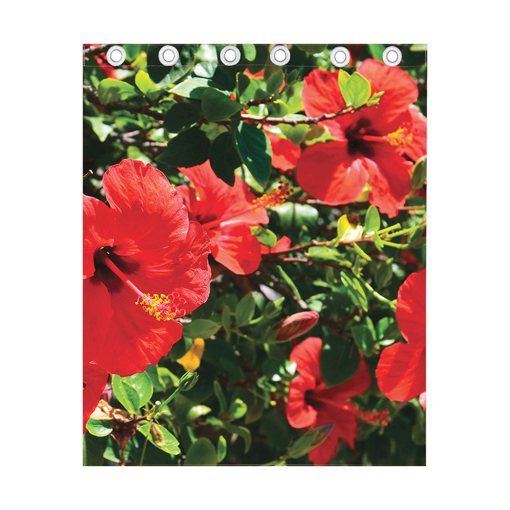 Red Hibiscus Flowers Print Curtain