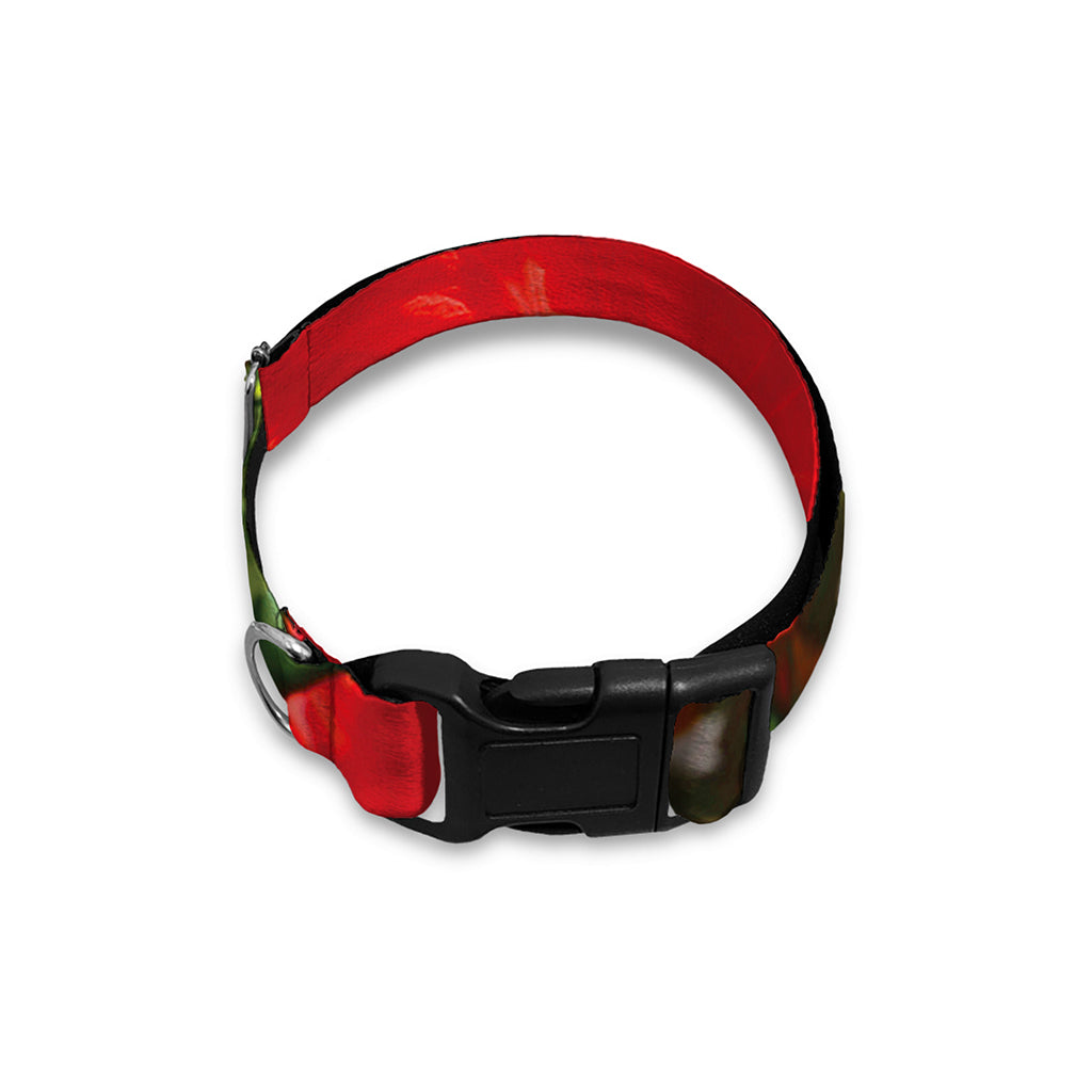 Red Hibiscus Flowers Print Dog Collar