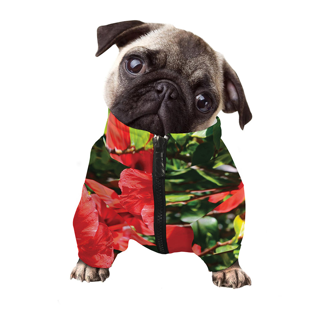Red Hibiscus Flowers Print Dog Zip Up Jacket