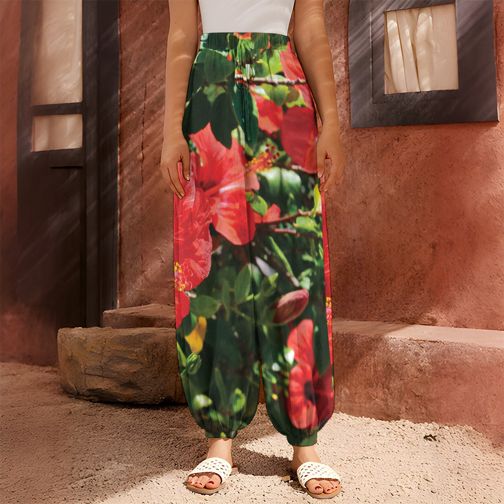 Red Hibiscus Flowers Print Harem Pants