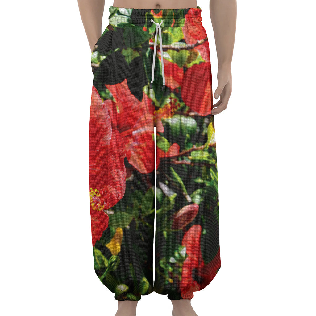 Red Hibiscus Flowers Print Lantern Pants