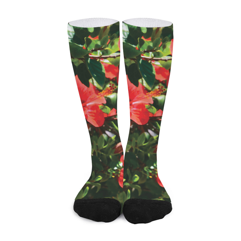 Red Hibiscus Flowers Print Long Socks