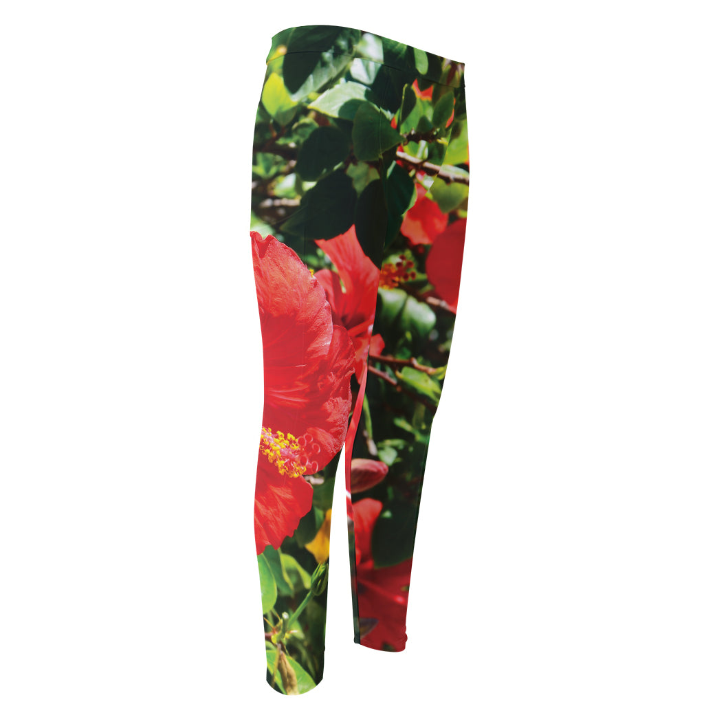 Red Hibiscus Flowers Print Men's Compression Pants