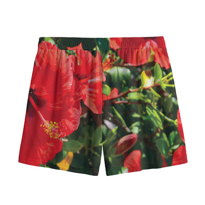 Red Hibiscus Flowers Print Mesh Shorts