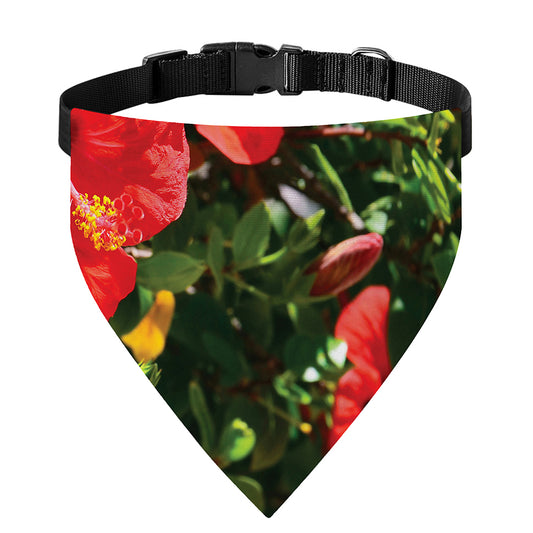 Red Hibiscus Flowers Print Over The Collar Dog Bandana