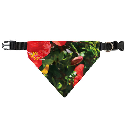 Red Hibiscus Flowers Print Over The Collar Dog Bandana