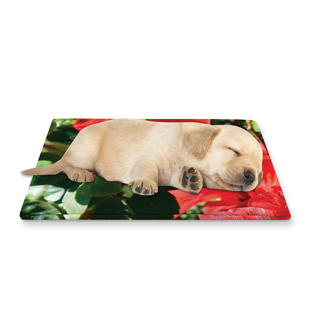Red Hibiscus Flowers Print Pet Cooling Mat Cover