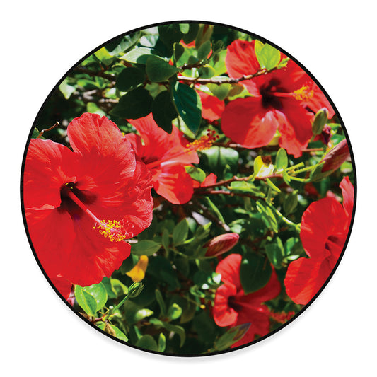 Red Hibiscus Flowers Print Round Floor Mat