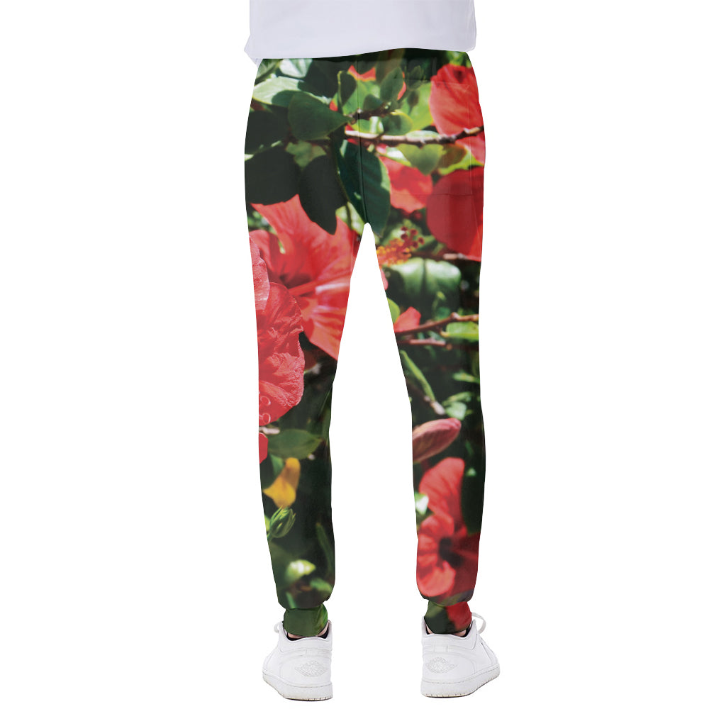 Red Hibiscus Flowers Print Scuba Joggers