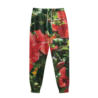 Red Hibiscus Flowers Print Sweatpants