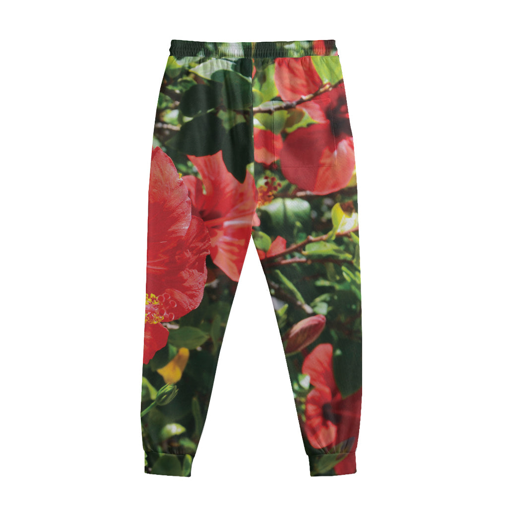 Red Hibiscus Flowers Print Sweatpants