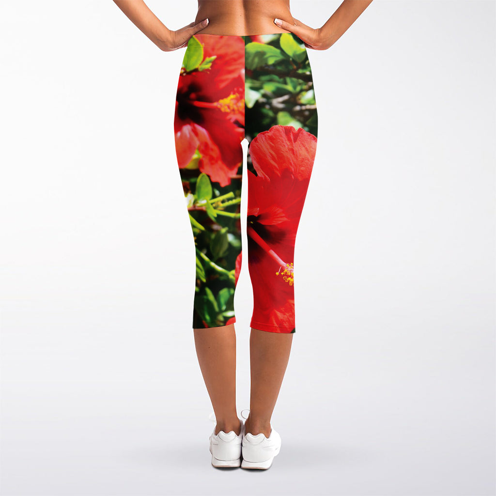 Red Hibiscus Flowers Print Women's Capri Leggings