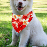 Red Hibiscus Plumeria Pattern Print Over The Collar Dog Bandana