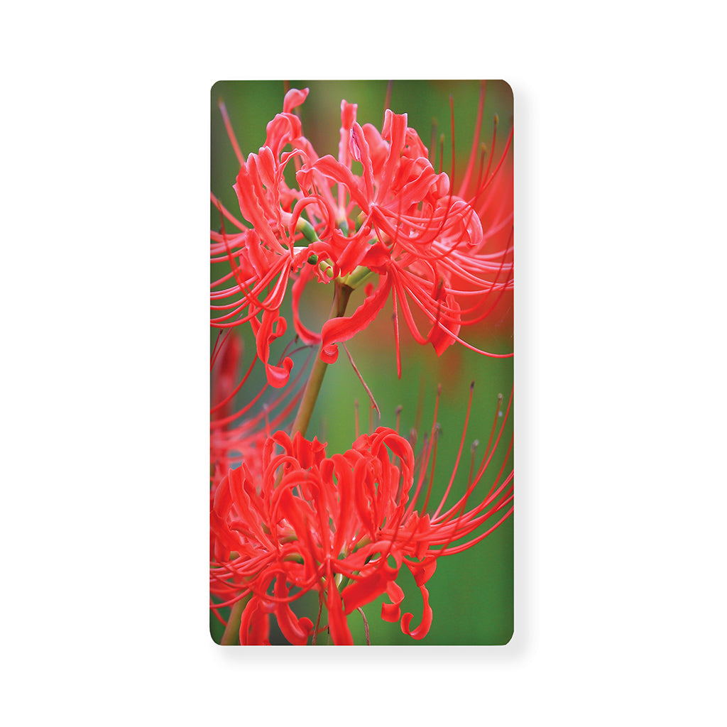 Red Japanese Amaryllis Print Baby Crib Sheet