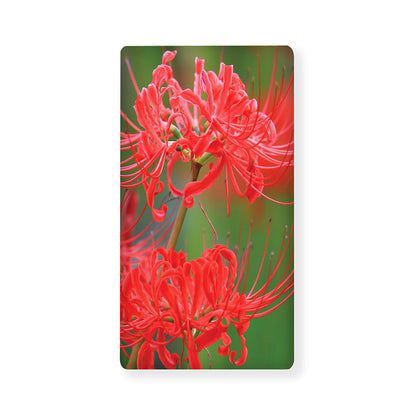 Red Japanese Amaryllis Print Baby Crib Sheet
