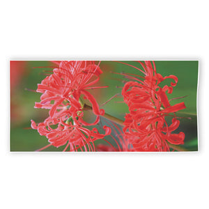 Red Japanese Amaryllis Print Beach Towel